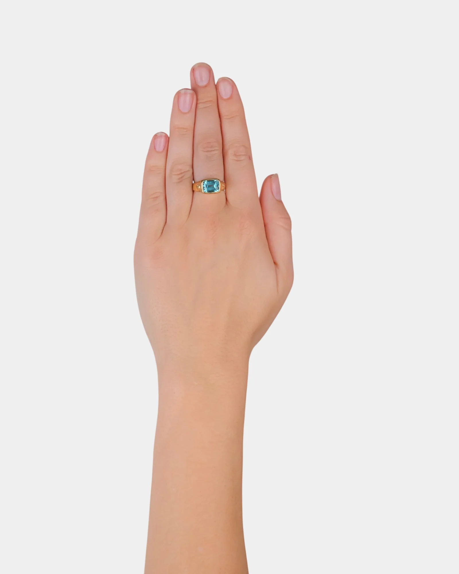Thin Ice Signet Ring - Image 4
